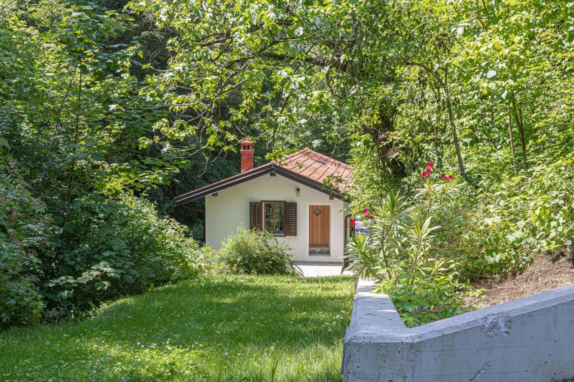 House By The Stream - Happy Rentals Avce Eksteriør billede